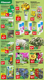 Thomas Philipps Flugblatt woche 33 Seite 2