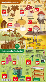 Thomas Philipps Flugblatt woche 33 Seite 3