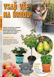 Hornbach leták Strana 12