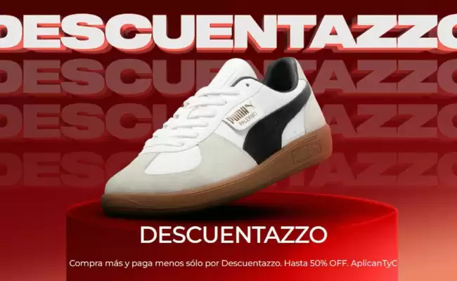 Catálogo Azzurry (válido hasta 18-08)