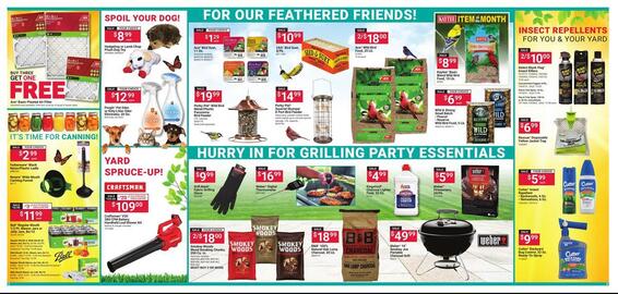 Ace Hardware Weekly Ad Page 2