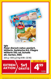 Billa Flugblatt woche 33 Seite 13