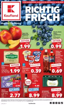 Kaufland Prospekt (gültig bis 20-08)