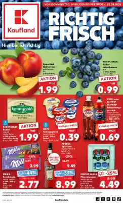 Kaufland Prospekt (gültig bis 20-08)