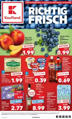 Kaufland Prospekt (gültig bis 20-08)