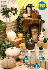 Catalogue TEDi page 19