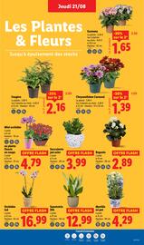 Catalogue Lidl semaine 34 page 27