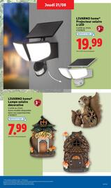 Catalogue Lidl semaine 34 page 41