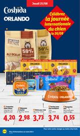 Catalogue Lidl semaine 34 page 8