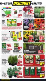 B1 Discount Baumarkt Prospekt woche 33 Seite 3