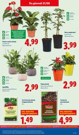 Volantino Lidl settimana 34 Pagina 37