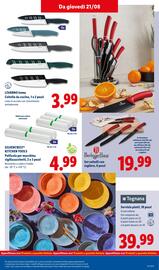 Volantino Lidl settimana 34 Pagina 41