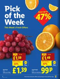 Lidl leaflet week 34 Page 2