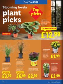 Lidl leaflet week 34 Page 20