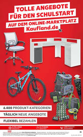 Kaufland Prospekt woche 33 Seite 45