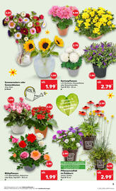 Kaufland Prospekt woche 33 Seite 5