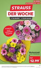 Kaufland Prospekt woche 33 Seite 55