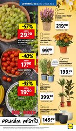 Lidl leták Strana 11