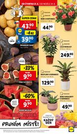 Lidl leták Strana 11