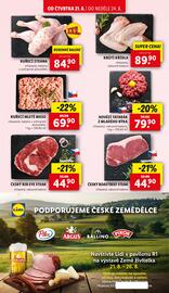 Lidl leták Strana 13