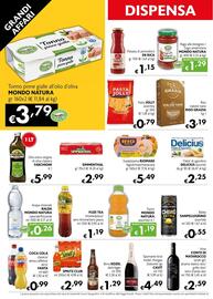 Volantino Maxi Family Pagina 6