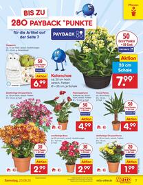 Netto Marken-Discount Prospekt woche 34 Seite 7