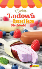 Biedronka gazetka Strona 1