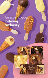 Biedronka gazetka Strona 11
