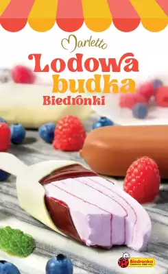 Biedronka gazetka