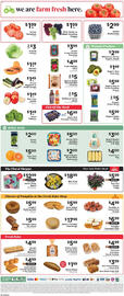 ShopRite Weekly Ad week 34 Page 11