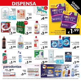 Volantino Maxi Supermercati Pagina 11