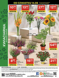 Delikatesy Centrum gazetka tydzień 33 Strona 52
