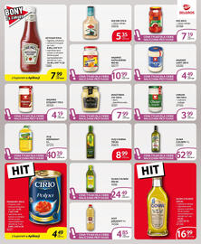 Selgros gazetka Strona 13