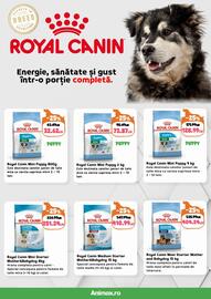 Catalog Animax Pagină 5