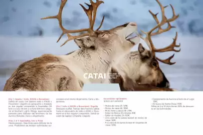 Folleto Catai Página 37