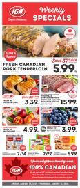 IGA flyer Page 1