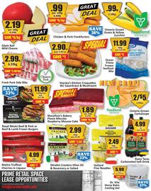 Starsky flyer Page 2
