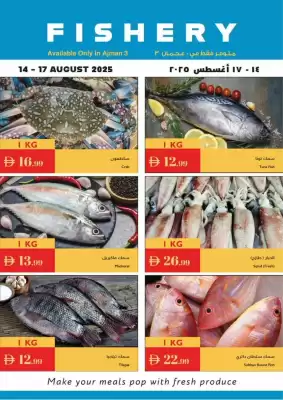 Istanbul Supermarket catalogue (valid until 17-08)
