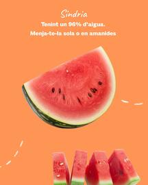 Folleto Sorli Página 4