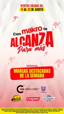 Catálogo Makro (válido hasta 20-08)