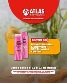 Catálogo Atlas Hipermayorista Página 5
