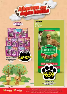 Catálogo Soriana Mercado (válido hasta 11-09)