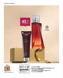 Catálogo Avon Página 17