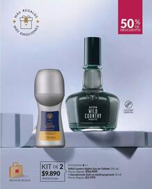 Catálogo Avon Página 20