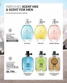Catálogo Avon Página 76