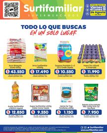 Catálogo Surtifamiliar Página 2