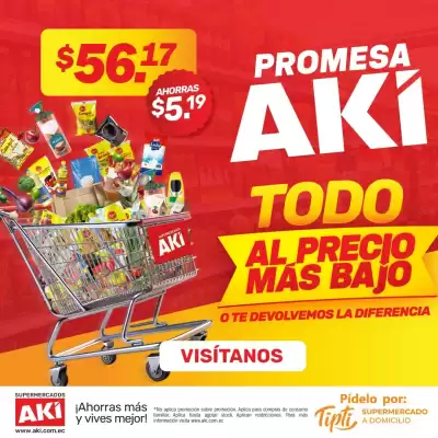 Catálogo Akí (válido hasta 16-08)