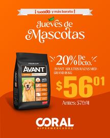 Catálogo Coral Hipermercados Página 2