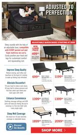 The Brick flyer Page 11