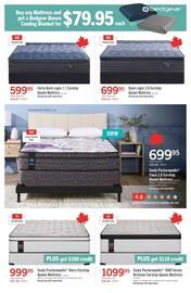 The Brick flyer Page 5